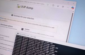 How to download Windows 11 金刚生态官方 25H2 ISO file for arm64 and Copilot+ PCs